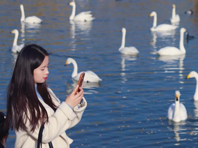 冬日周六晴好，邂逅热闹苍龙湖