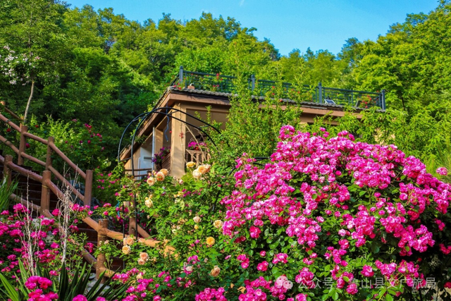 “五一”赴鲁山｜山水藏诗意 度假正当时