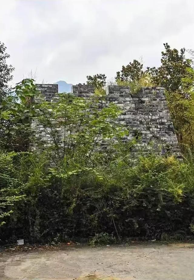 山野拾童趣!带娃来汉中这里,共享秋日亲子好时光~