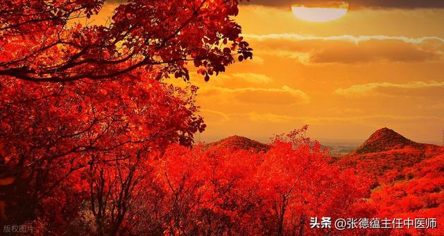 霜降时节对家乡红叶的遐思