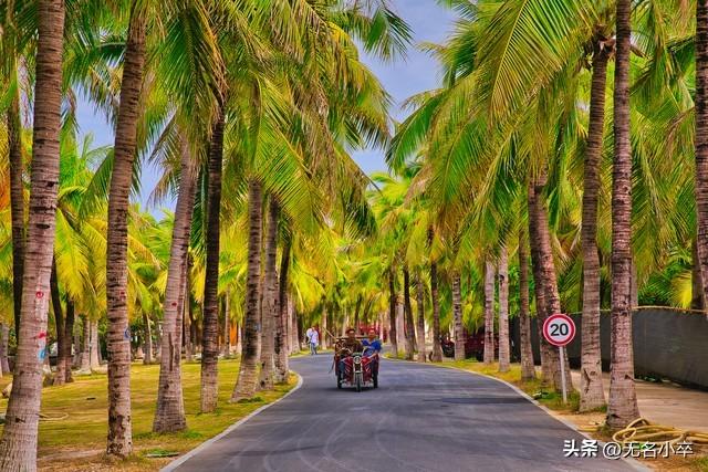 西双版纳和广西北海是三亚的“替代品”？也是，也不是