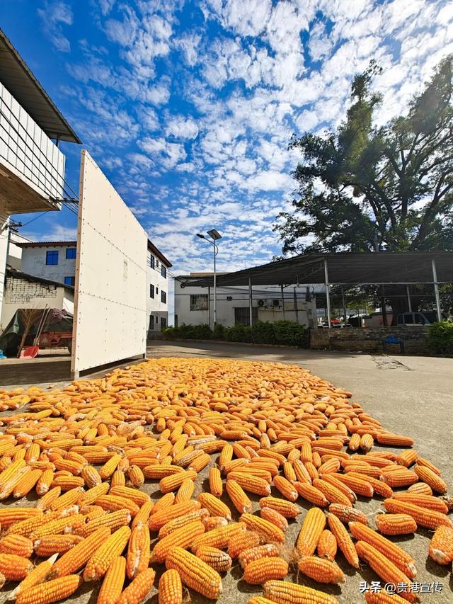 如果想暂别喧嚣，贵港周边这个地方很适合