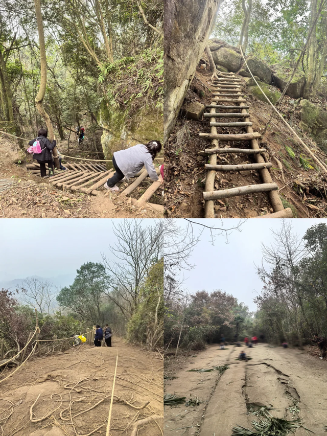 奖牌首发！成都1.5h新晋野趣徒步线，绳索上下+森林秋千，太野了