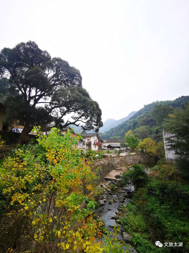 皖美夏日 | 夏日炽热，怀抱清凉一古居