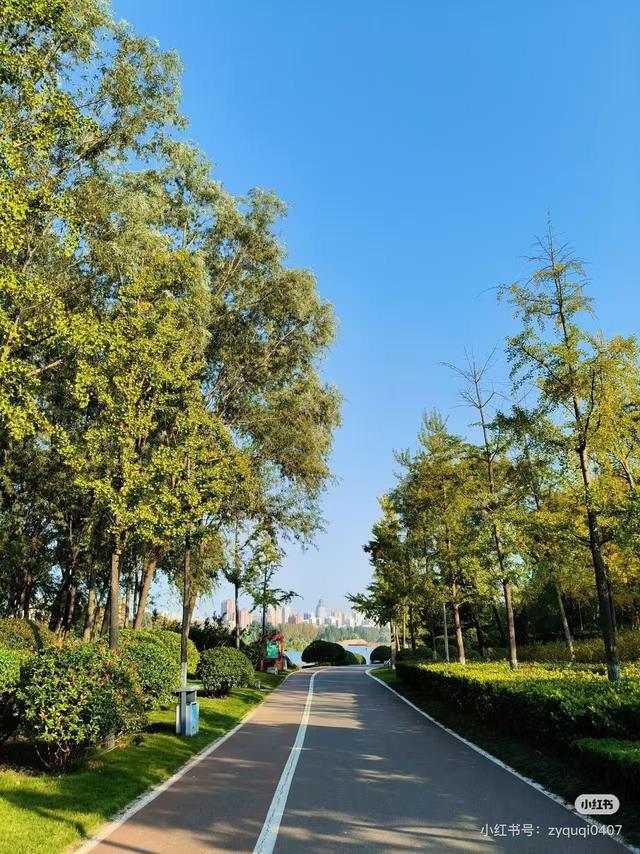 临沂秋日捡秋啦 | 把秋天，装进你的时间胶囊~