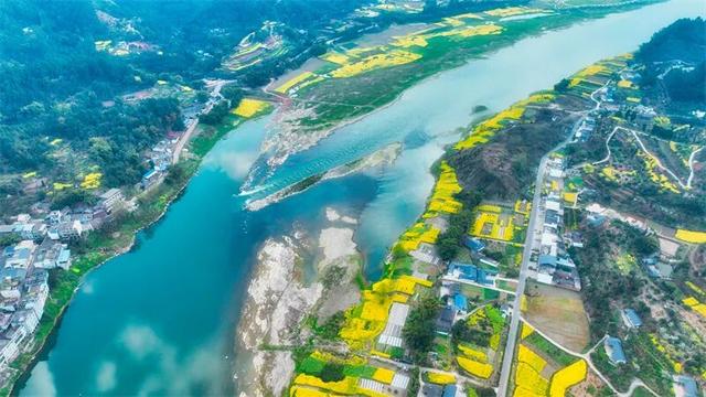 免费打卡！乐山这些地方的油菜花可以约起来啦~