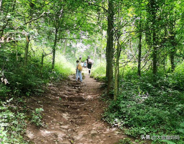 假期带孩子外出徒步，会有三个收获，在家的孩子根本享受不到