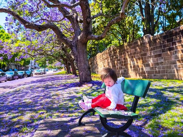 澳洲一年一次的绝美风景再度刷屏! 周杰伦也在打卡, 华人狂偶遇