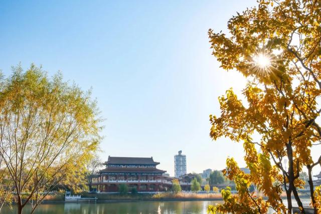 从群明湖畔到永定河集，冬日石景山的慢享闲游——