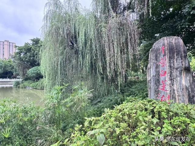 你好 东坡！丨苏辙公园：东坡城中那片澹泊的人文绿洲