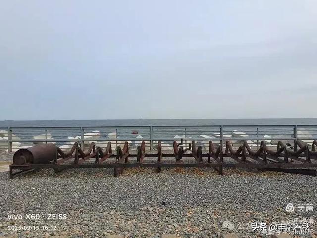 漫步西港花园：在山海之间遇见旧时光｜申艳娟