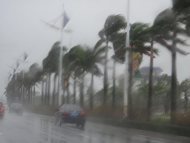 台风天开车“冲浪”后续：司机被行拘，身份遭扒，难怪做出这种事