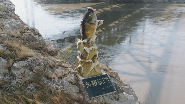 黄河最美逆行者：山西女孩放弃大城市回乡讲述龙门传说 | 晋在眼前