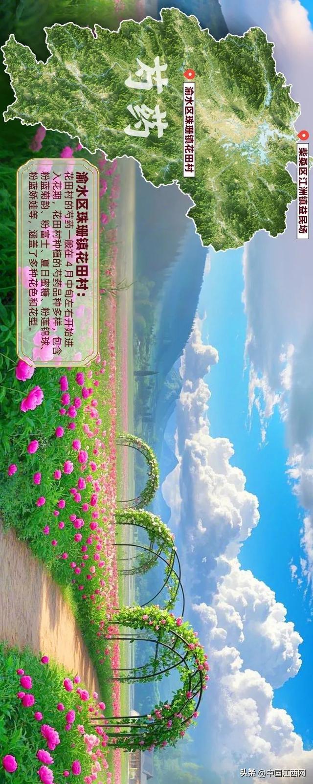 探春花丨江西春日赏花地图正式发布！