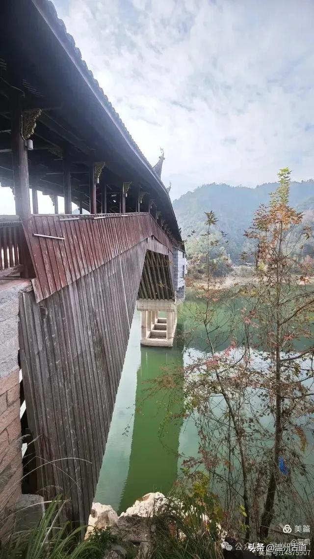 两毁两建,三廊相连,这座全国最长的木拱廊桥,就在温州!