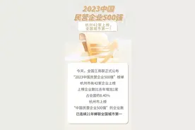 杭州42家上榜，全国城市第一！“2023中国民营企业500强”榜单公布图片