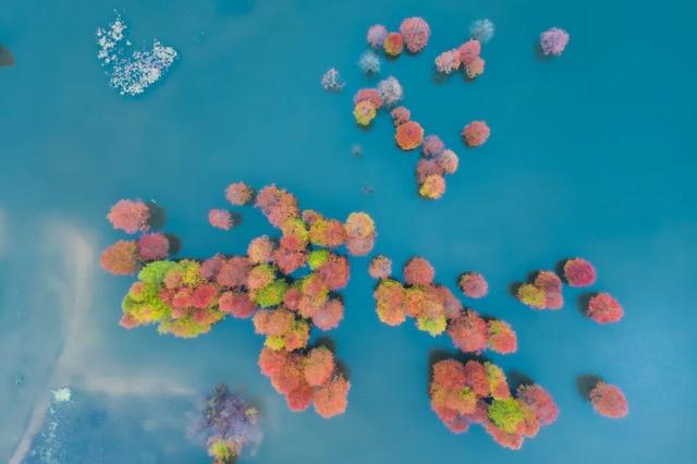 天空之镜，奇墅之秋 | 皖美冬日 | 第十五届安徽国际文化旅游节