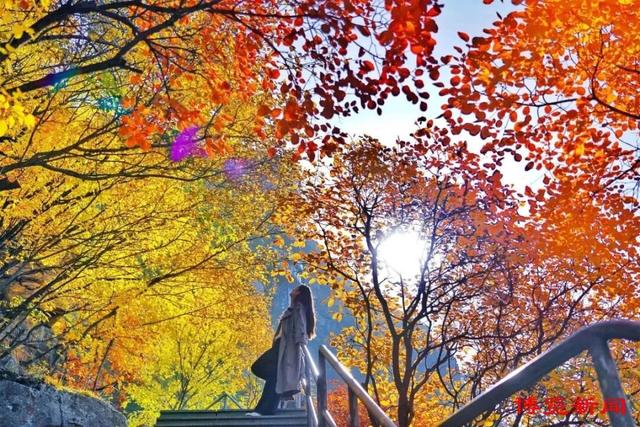 11月游淄博，享受深秋好时光！