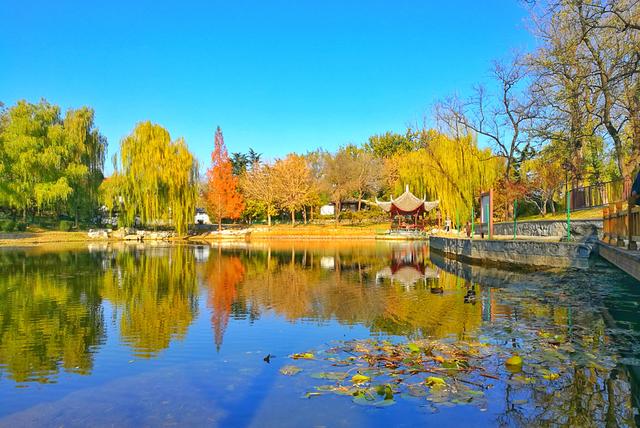 狂风散尽现碧空 北京市民陶然亭公园共赴“大风蓝”之约