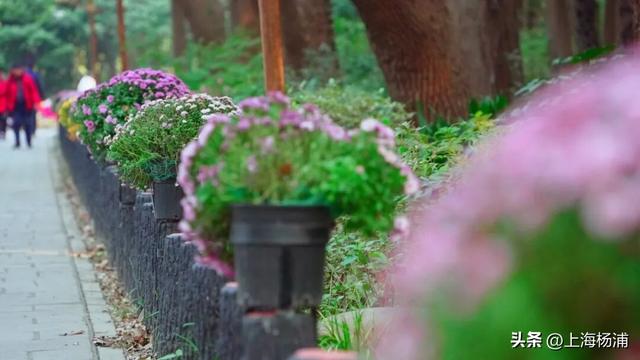 闭幕倒计时！错过就要等明年！