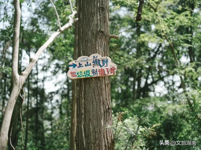 全部免费！解锁长沙10条山林徒步路线
