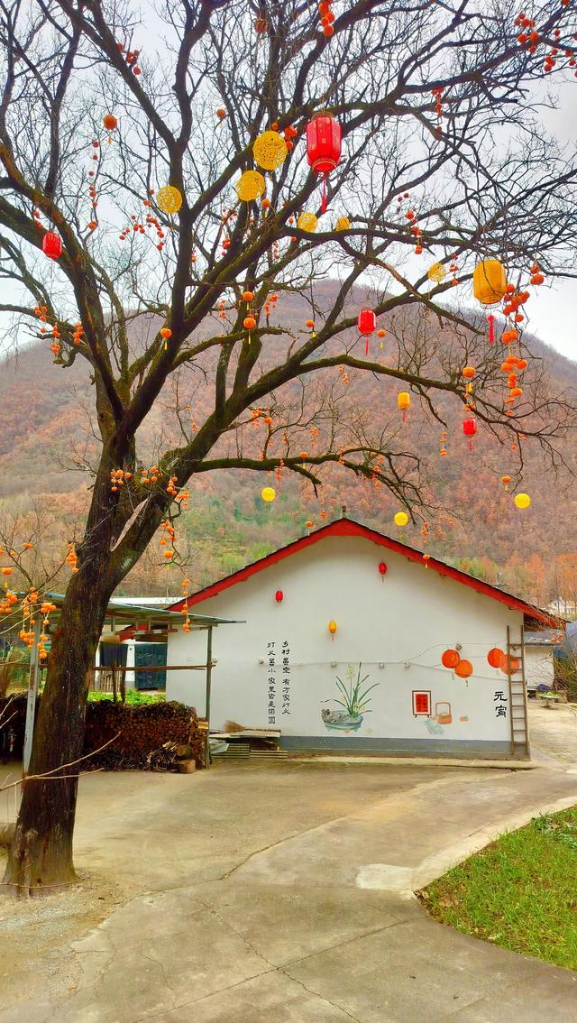 从白云村来到了留坝县火烧店镇