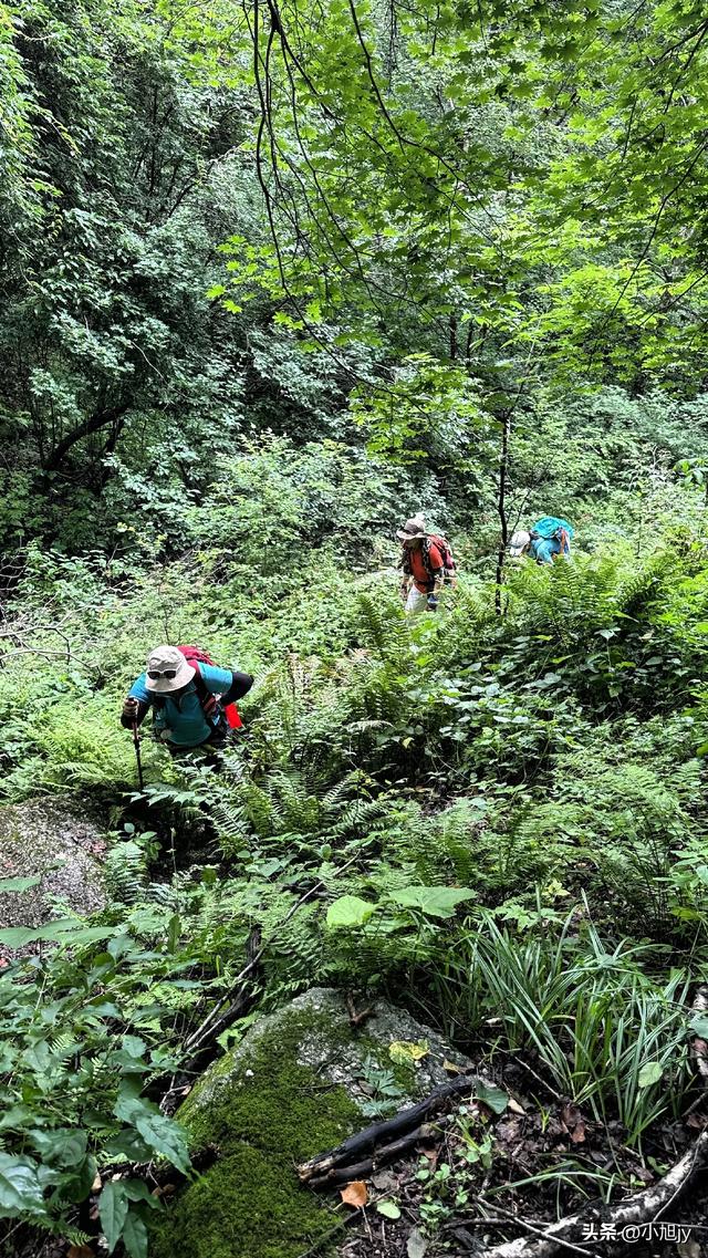 本溪小芹沟—五顶山—大西沟穿越,夏练三伏