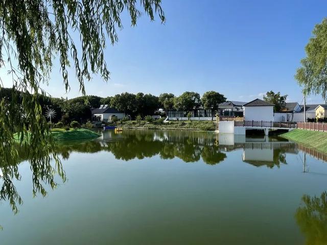 总投资116万，丹阳司徒镇“茶文化园”免费开放
