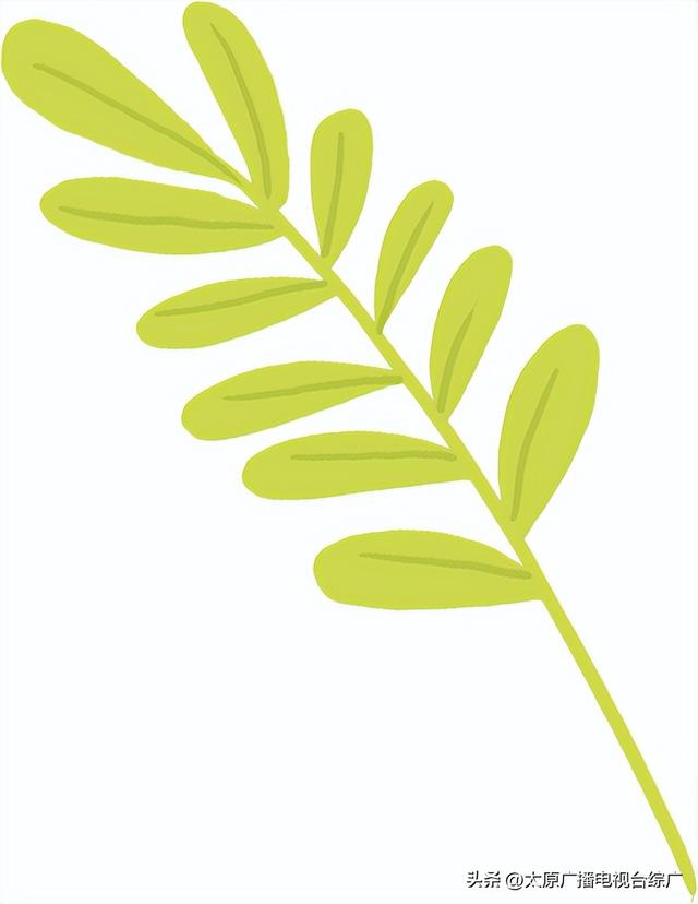 太原盛夏：公园里的花事盛宴