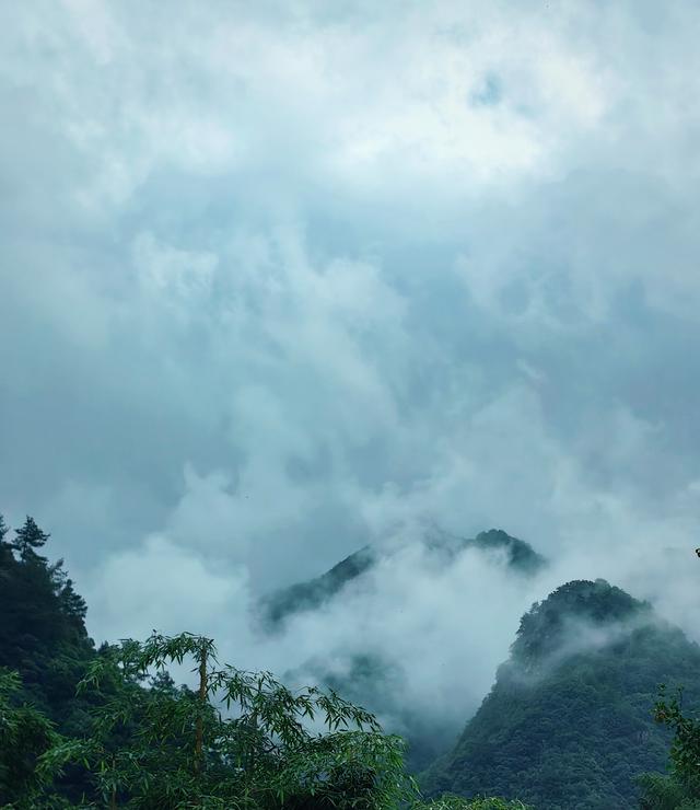上海人的周边游圣地——浙江安吉