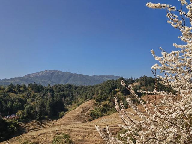 土楼拾光①:福建土楼景区——田螺坑片区（2025.2.9 漳州·南靖）