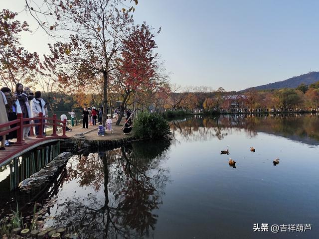 初冬‖钟山前湖月牙堤的日落，美的人移不开眼，停不下手拍摄！