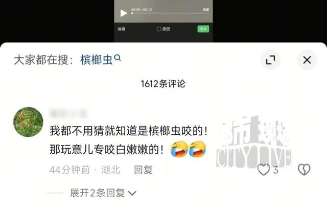 海南三亚天涯小镇一民宿惊现臭虫	，一女子被咬后过敏，全身起满红疙瘩，当地文旅部门介入