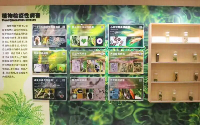 海口经济圈 | 文昌宠粉福利来袭→