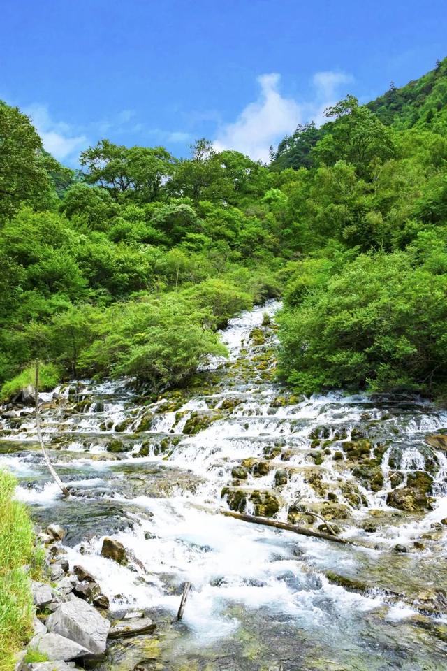 热热热，茂县松坪沟自带降温“凉”方！