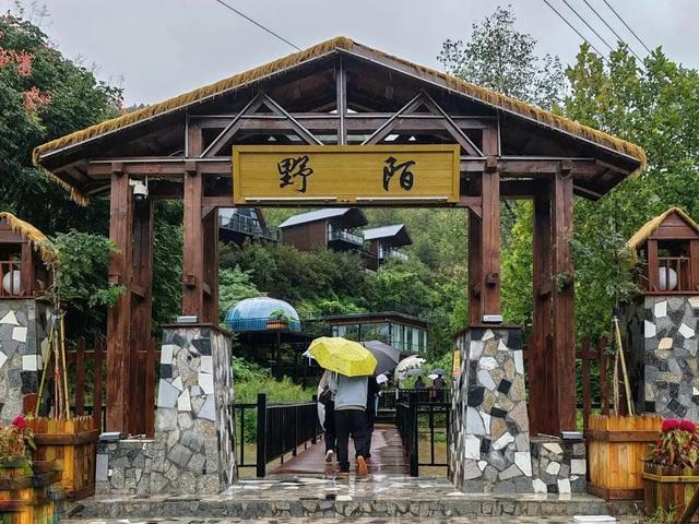 生态筑基,产业聚力,河南栾川陶湾镇打造山区康养示范样板