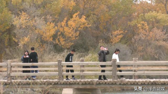 泽普县金湖杨国家5A级景区：秋日胡杨引客来 旅游热度持续攀升