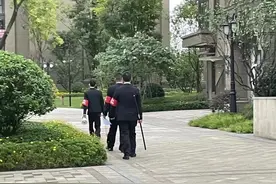 两岁女童被烈性犬咬伤之后图片