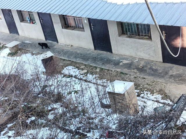 雪后初霁登顶嵯峨山，走荒野雪原，看千年悟空塔，感受历史的烟云