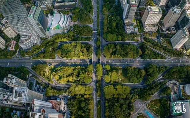 “宜居深圳”桥梁篇：科技与艺术的共生