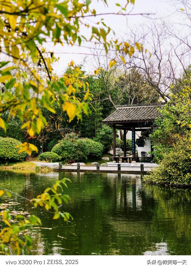 晨雾裹着秋香闯了金山寺，我在亭台里捡到一整个江南