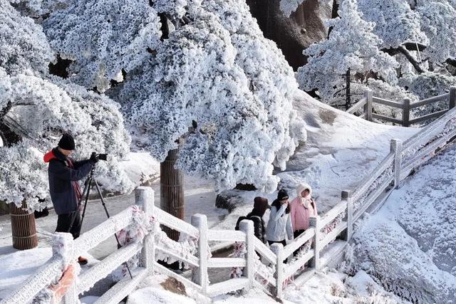 急！黄山冬雪美景即将抵达！准备好迎接仙境了吗？