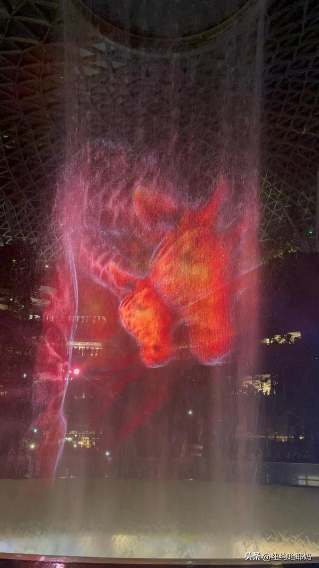 2025暑假 新加坡顺道游（二）
