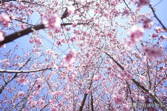 腾龙“20-40mm F/2.8 Di III VXD”镜头评测!