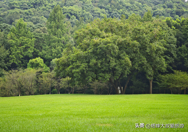 这个杭州公园绝了，有着童话秘境既视感，治愈又浪漫，还有三秘密