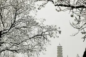 陕西省韩城市历史沿革及行政区划图片