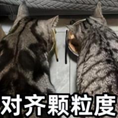 差价 500 元，小米紧急上架新机，又卷起来了！