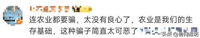 承认了！全部是演的！坑农害农，尽是胡诌！网友怒斥：有没有良心？