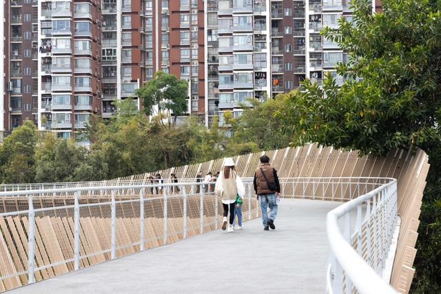 国庆打卡新地标！龙岗河干流碧道堤下试开放，年底全线亮相，漫步亲水正当时