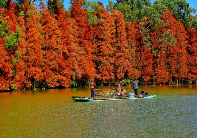 官宣！深圳、成都市民免费游星湖，时间持续至……